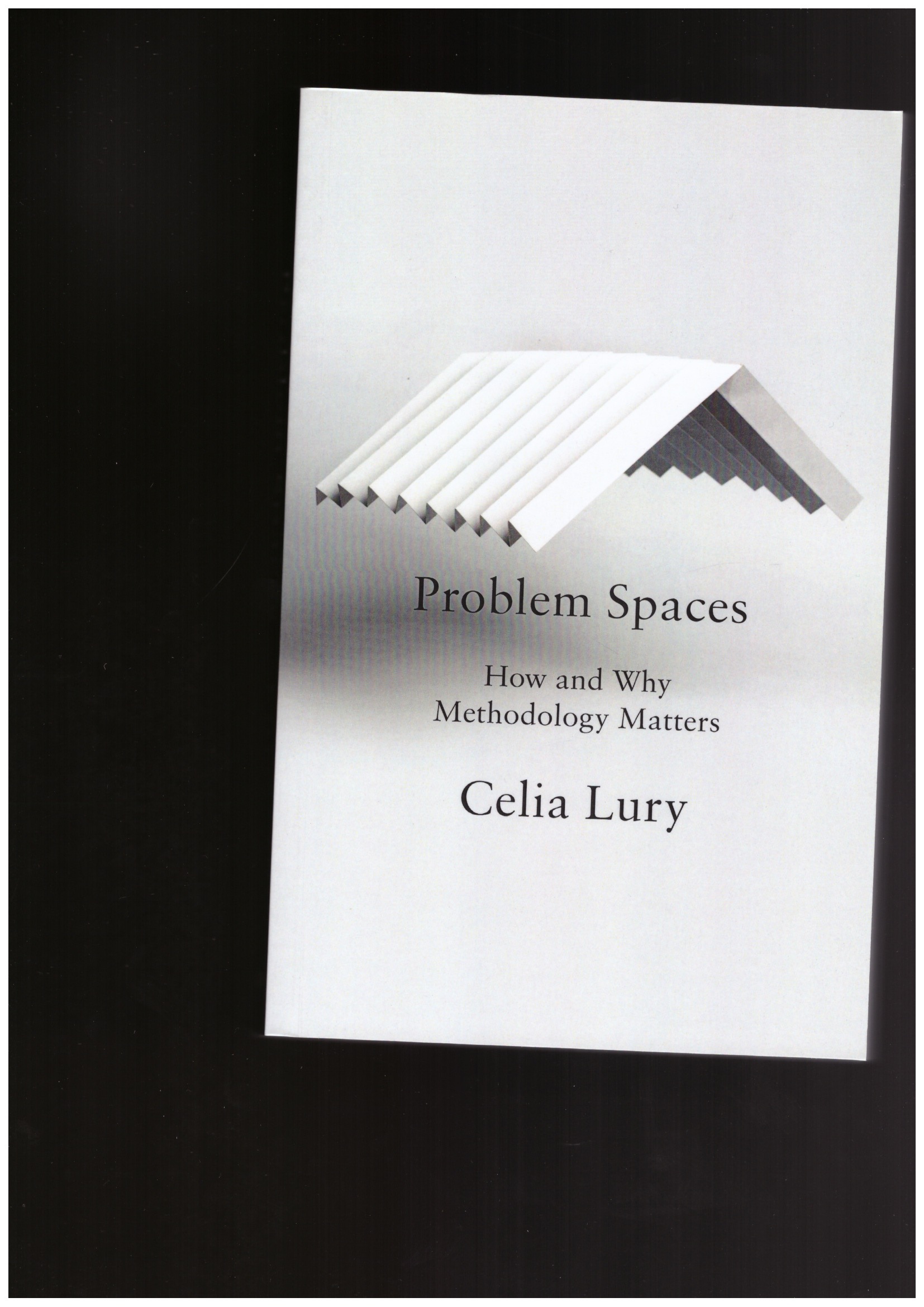 LURY, Celia - Problem Spaces
